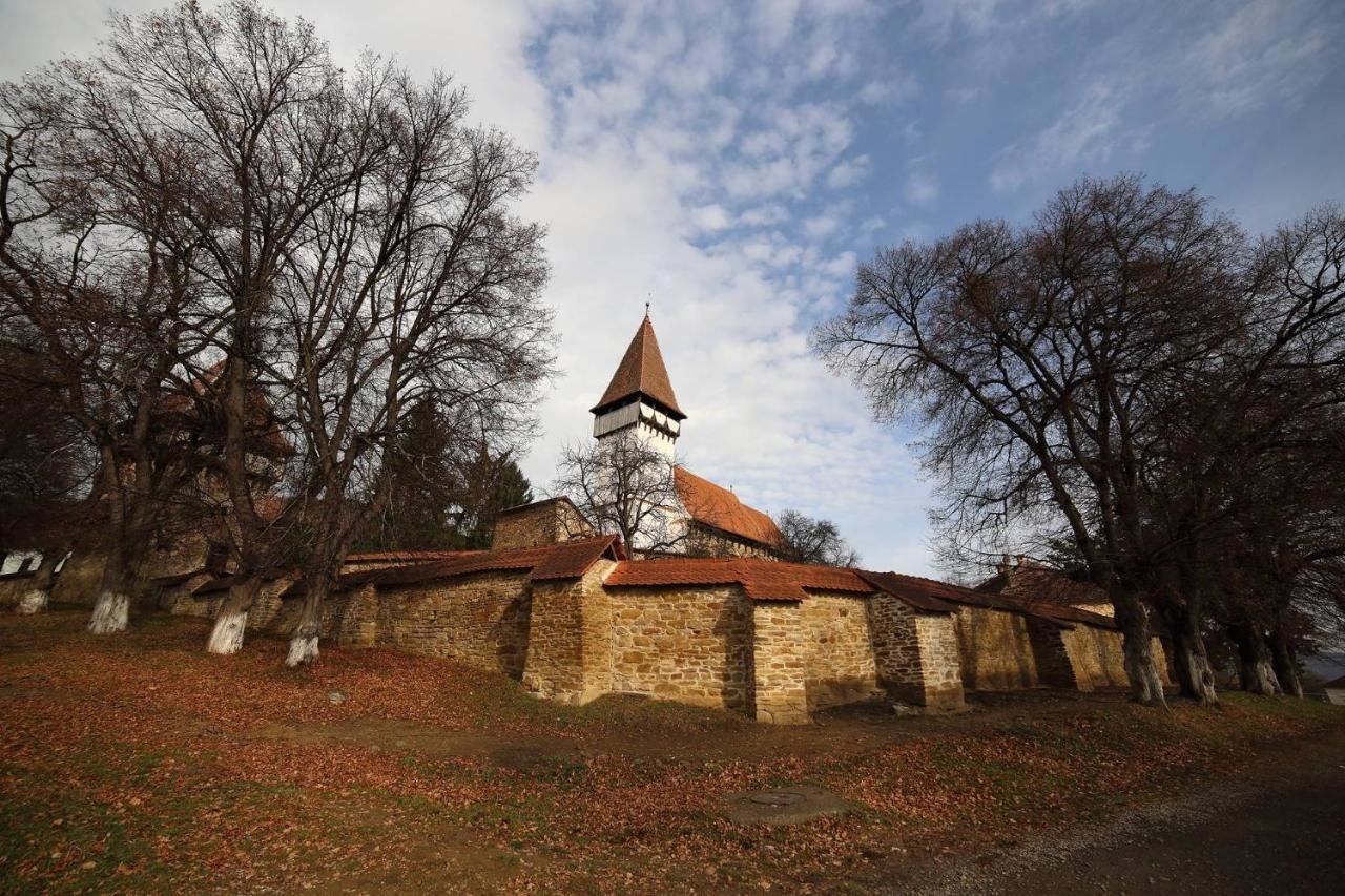 Отели типа «постель и завтрак» Mesendorf Gasthaus Meşendorf-40